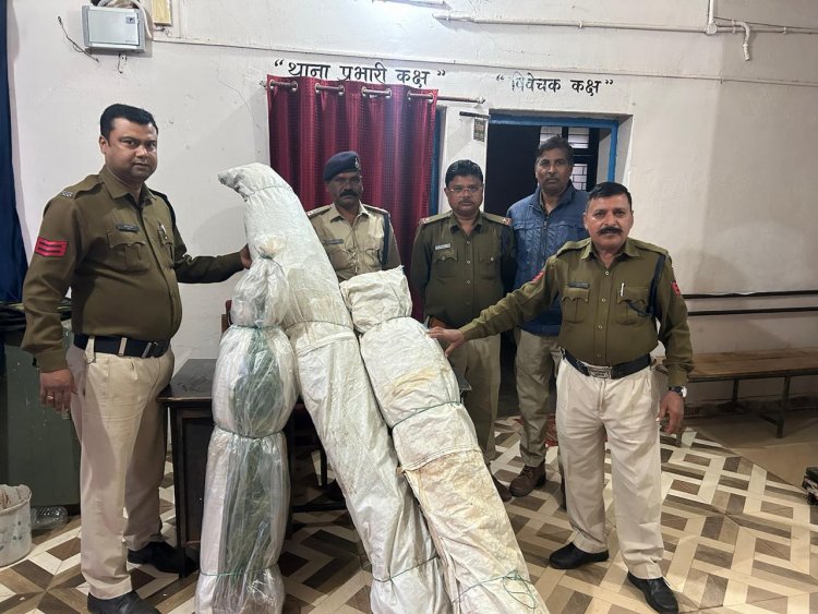 खेत में कर रहा था ऐसी फसल की खेती जिसे देख पुलिस के उड़ गए होश, जब्त कर थाना लाई