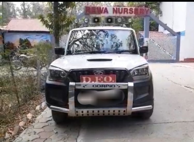 रीवा के एमपीआरडीसी और शिव शक्ति कंस्ट्रक्शन पर वन विभाग ने दर्ज किया मामला, मचा हड़कंप, जानिए वजह