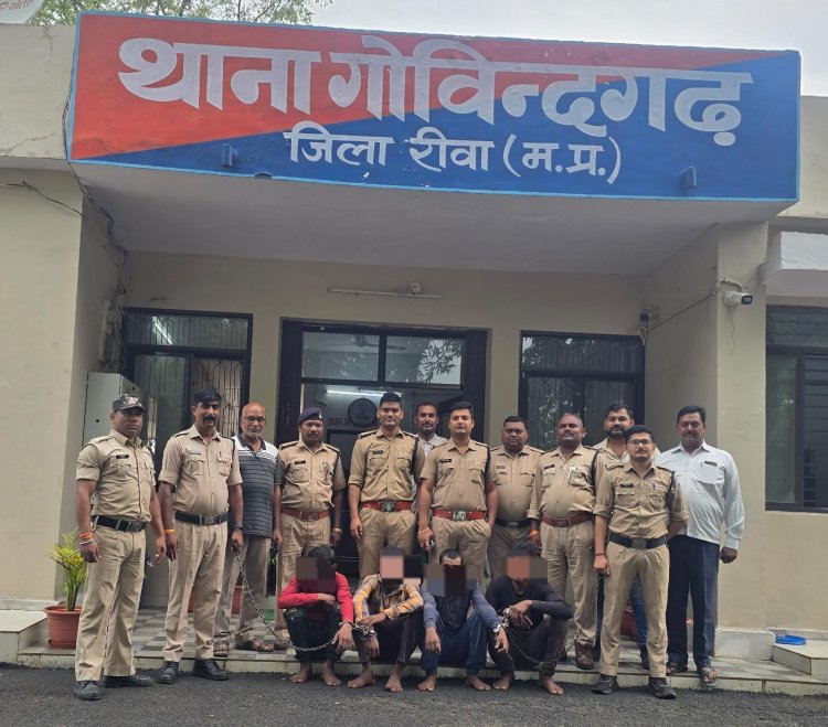 रीवा संभाग में गोंड गैंग ने मचा रखा था आतंक, चोरियों का तरीका कर देगा आपको हैरान, इनके डर से घर छोड़कर जाना हो जाएगा मुश्किल